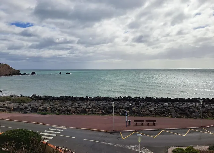 Le Pecherie, T3 Superbe Vue Mer, Parking, Clim, Wifi Agde