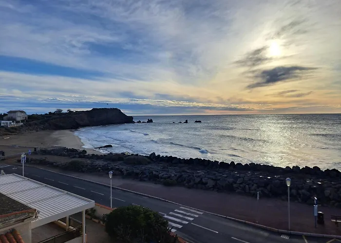 Le Pecherie, T3 Superbe Vue Mer, Parking, Clim, Wifi Агд